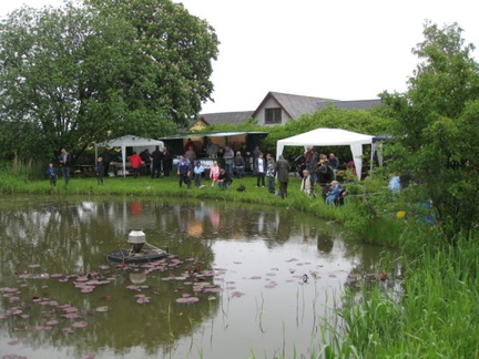 2010-065