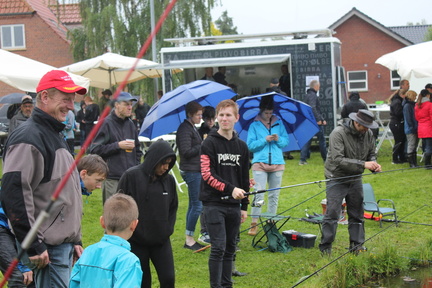 IMG 8753