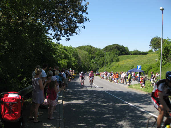 2009-376.jpg
